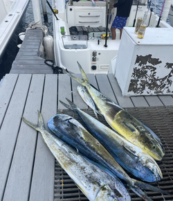 Catch the big one in Puerto Rico’s paradise!